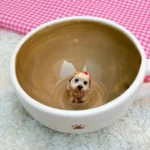 IMG 3764 11zon 11zon