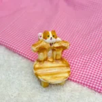 IMG ۲۰۲۵۱۰۲۳ ۲۳۴۹۰۱