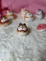 نمکدون همستر - Image 7