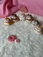 نمکدون همستر - Image 10