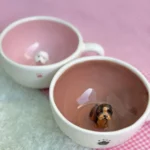 ماگ سوپرایزی هاپو